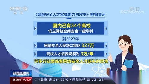 2026網(wǎng)絡(luò)空間安全專業(yè)就業(yè)前景 非常詳細(xì) 零基礎(chǔ)入門(mén)到精通,收藏這篇就夠了